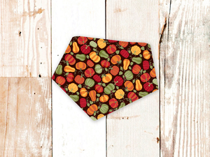 "Brown Pumpkins" Dog Bandana