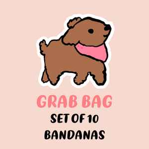 "Clearance GRAB BAG SET OF 10" Dog Bandanas