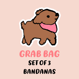 "Clearance GRAB BAG SET OF 3" Dog Bandanas