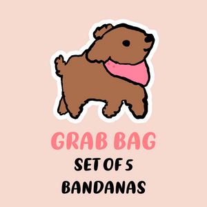 "Clearance GRAB BAG SET OF 5" Dog Bandanas